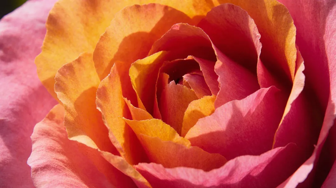 AI Flux Krea Image Generator Authentic Landscape Demo